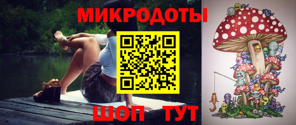 Семилуки  Псилоцибиновые грибы Psilocybine cubensis  Вход с VPN 